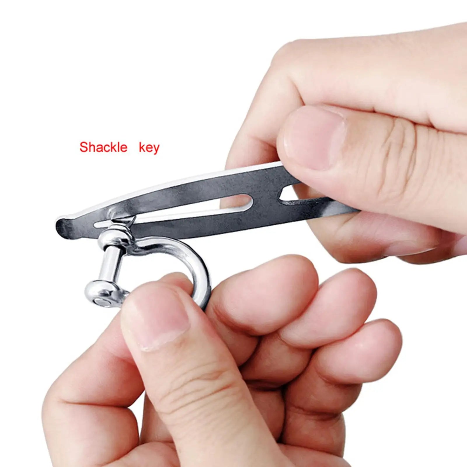Stainless Steel Shackle Key with Bottle Opener by Unbranded