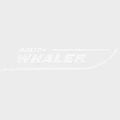Boston Whaler Boat Raised Decal 2307202 | 20 x 3 7/8 Inch WhiteOpens in a new window or tab