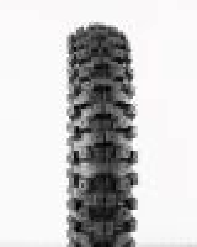 Protaper Mxt 04 Rear Tire 90/100-16 For Off-road And All-terrain