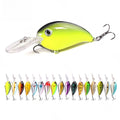 Floating Lure with 3D Fish Eyes