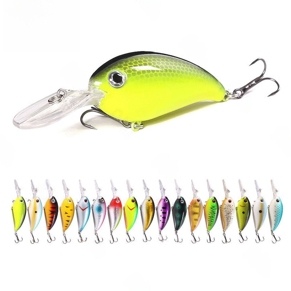 Floating Lure with 3D Fish Eyes