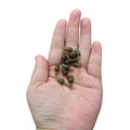 Green Carp Fishing Tulip Bead