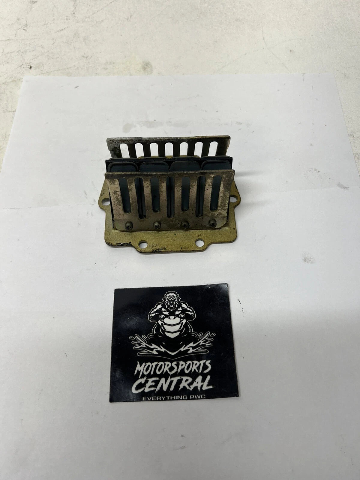 Kawasaki 1100 900 Reed Valve Cage Reeds Stx Zxi Sts