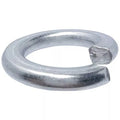 Stainless Steel Lock Washers