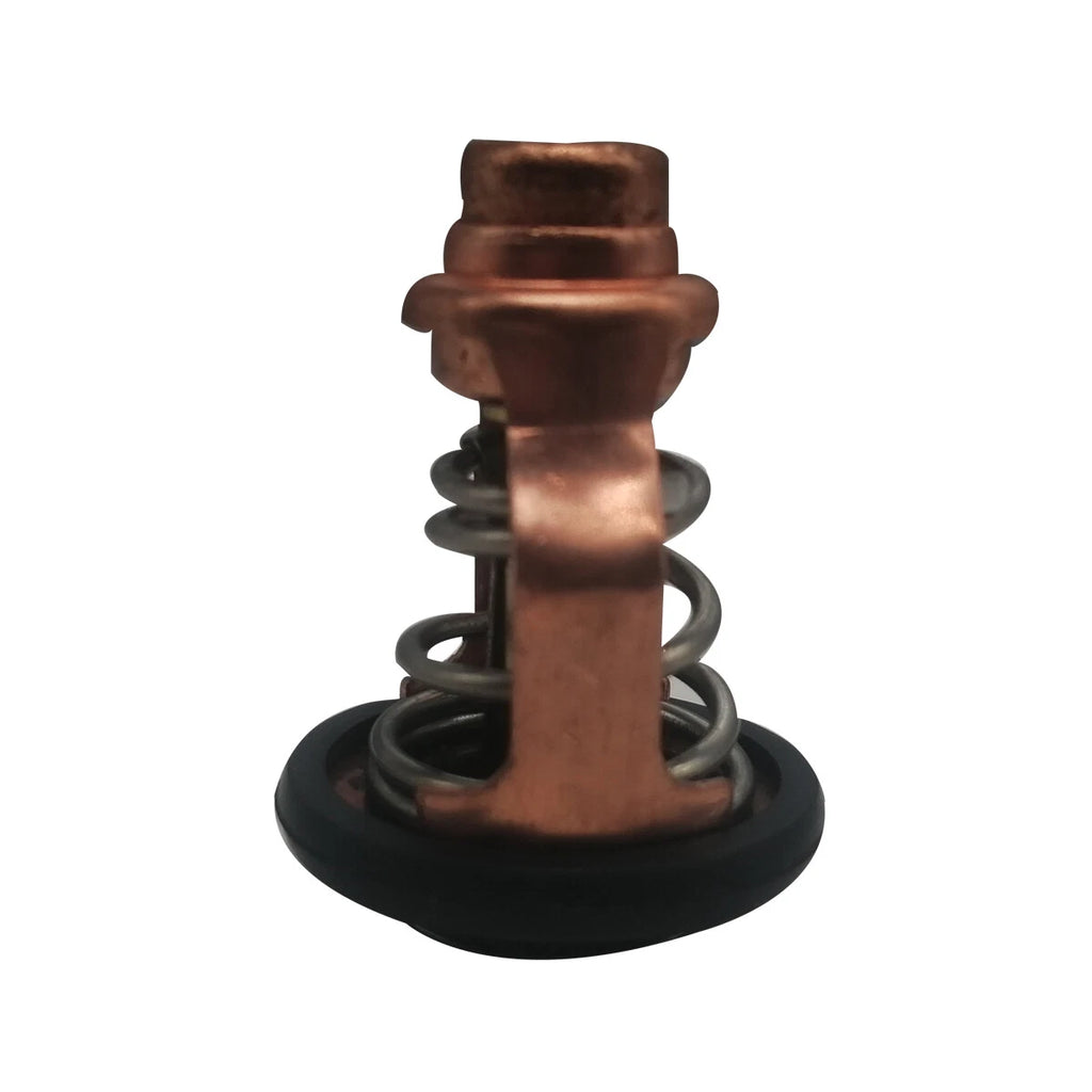 Thermostat – Yamaha F100D 100HP