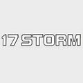 Boat Brand Decal Lowe Storm Black White by Lowe
