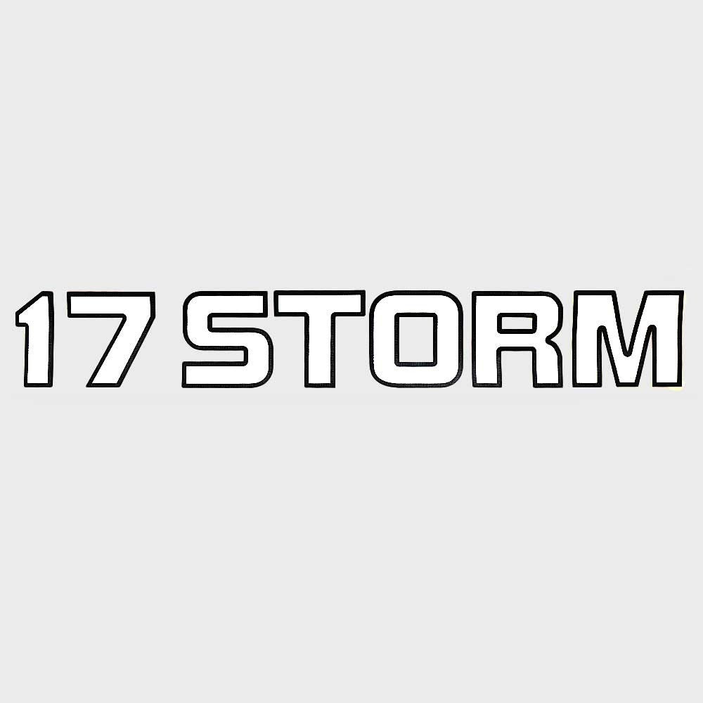 Boat Brand Decal Lowe Storm Black White by Lowe