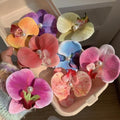 Butterfly Orchid Hair Clip Lily Flower
