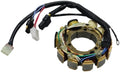 Sp1 Stator Assembly For Arctic Cat Snowmobiles 1997-2000 – Efi