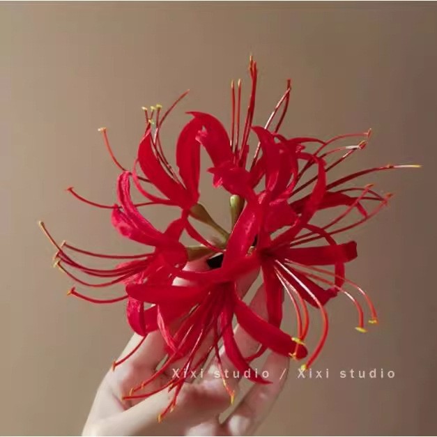 Compact Elegant Hair Accessories