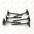 Intake Valve 010-005 420254290: Sea-doo 1503 / 1630 4-tec - 02-17