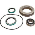 Am30418 Ipto Gear Bearing & Seal Kit
