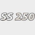 Lowe Boat Raised Decal SS250 Silver by Lowe