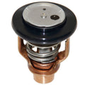 Yamaha Thermostat 150-200 HP Outboard by Yamaha