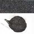 Ranger Boat Metal Glitter Flake 2503 by Ranger