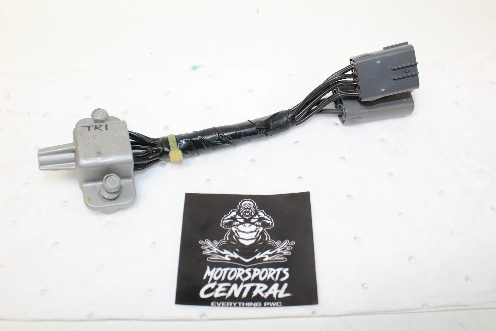 Oem Yamaha Tr1 Earth Plate Compass 6cs-8273j-11-0<wbr/>0