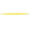 Boat Decals Chaparral 236 / 215 SSI Yellow by Chaparral