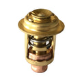 Johnson Evinrude Thermostat 143F by Johnson