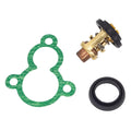 Parsun Outboard F5a F6a 5hp 6hp Motor Thermostat F15-07000031 With