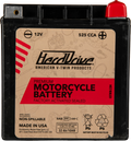 Harddrive Premium V-twin Motorcycle Battery Hrdm732ghl – Fits