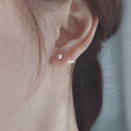 Fashion Earrings Suitable for Women