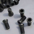Torx Screws for CNC Lathe Carbide Blade Installation