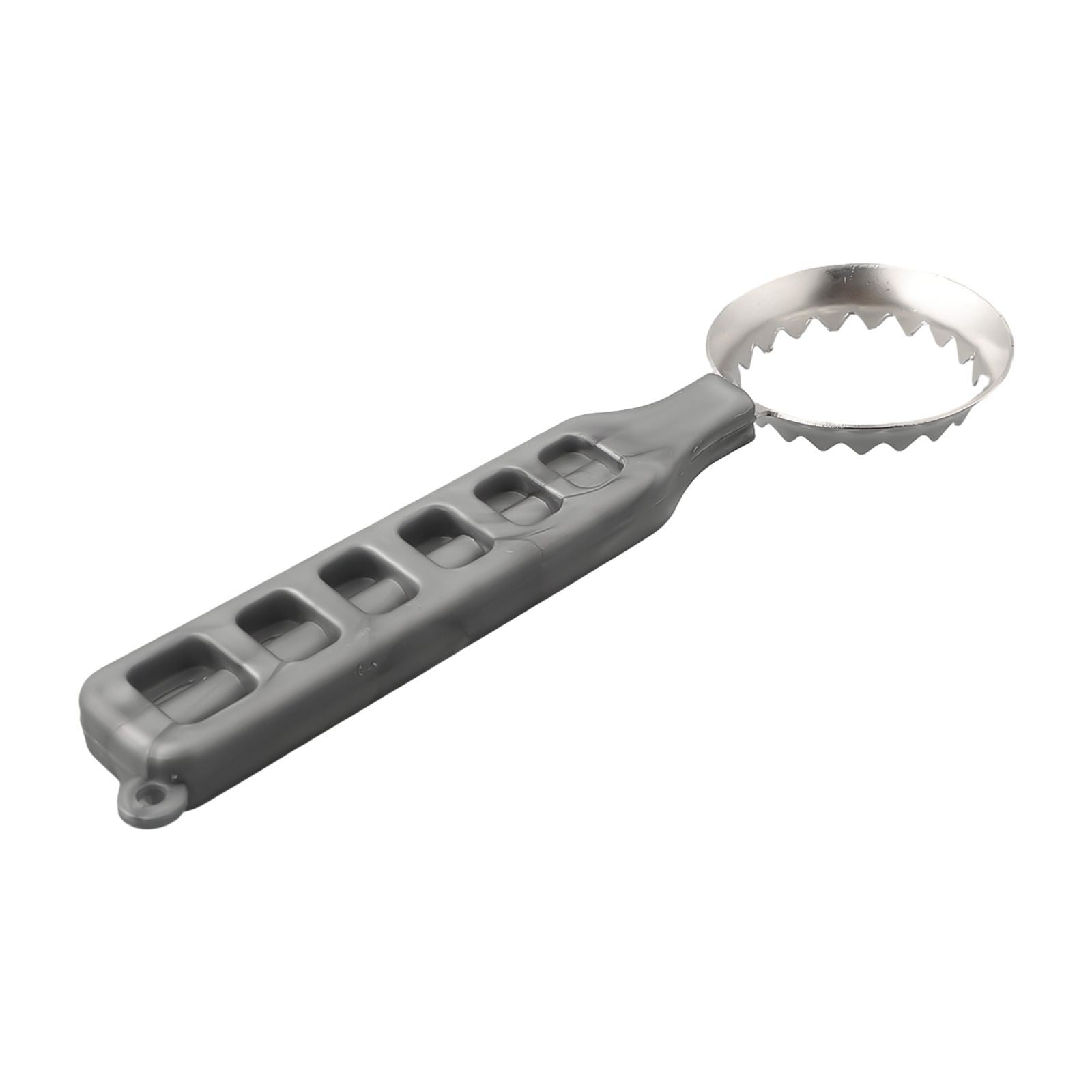 Compact Fish Cleaning Tool