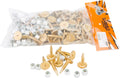 Woodys Gold Digger Carbide Studs 1.325 Inch 96 Pack For Snow Tracks