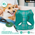 Dog Harness & Leash Set Breathable Air Mesh Chest Strap