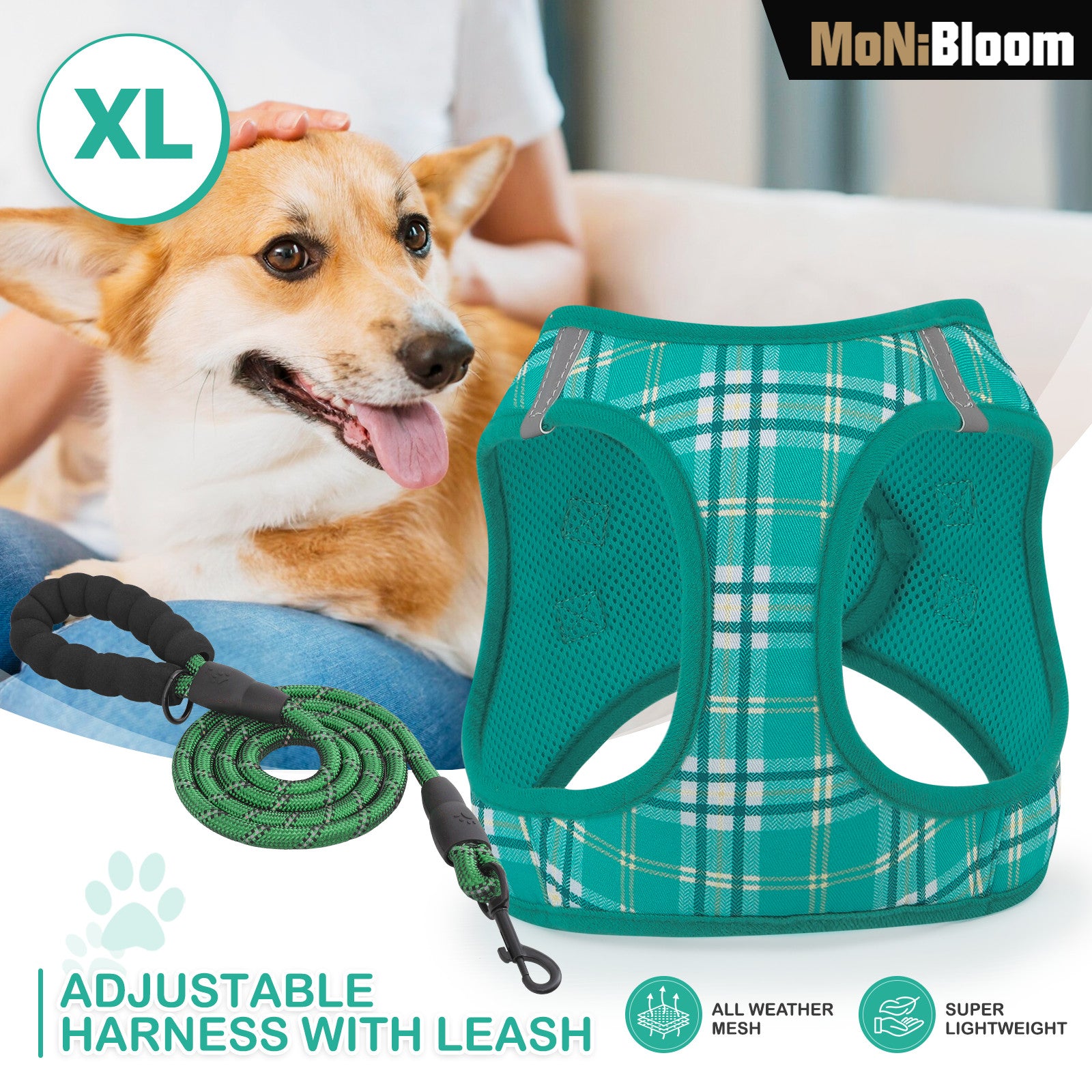 Dog Harness & Leash Set Breathable Air Mesh Chest Strap