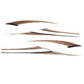 Pontoon Boat Graphic Decal Kit Bronze by Weeres