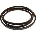 Am448794 Belt - Shaker Shoe Drive