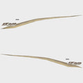 Yamaha Boat Decal Set LX 210 Gold/Maroon by Yamaha