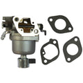 Fits Briggs And Stratton 699807 Carburetor