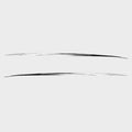 Chaparral Sticker Decal Sunesta 2007 by Chaparral