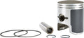 Sp1 Piston T Moly A/c – Fits Arctic Cat Panther & Z 370 Snowmobiles