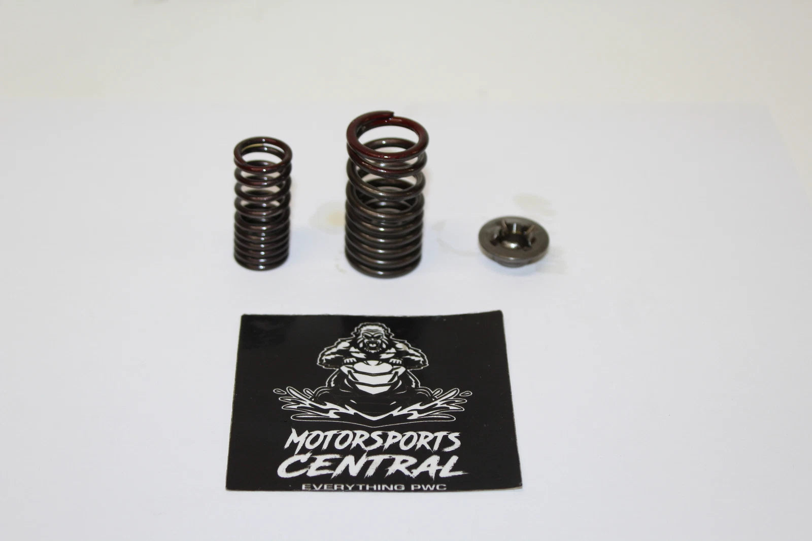 Kawasaki Exhaust Exhaust Valve Spring Inner Outer Retainer Set Stx