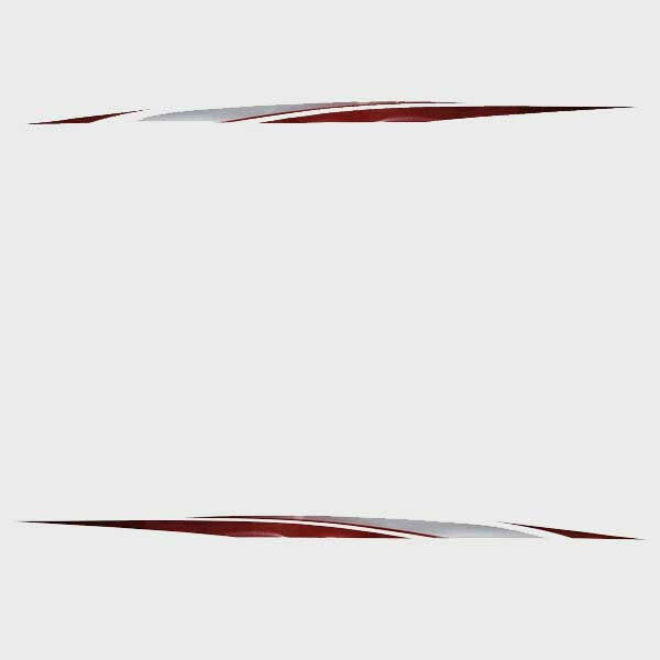 Larson Boat Decal Stickers Set of 2 by Larson