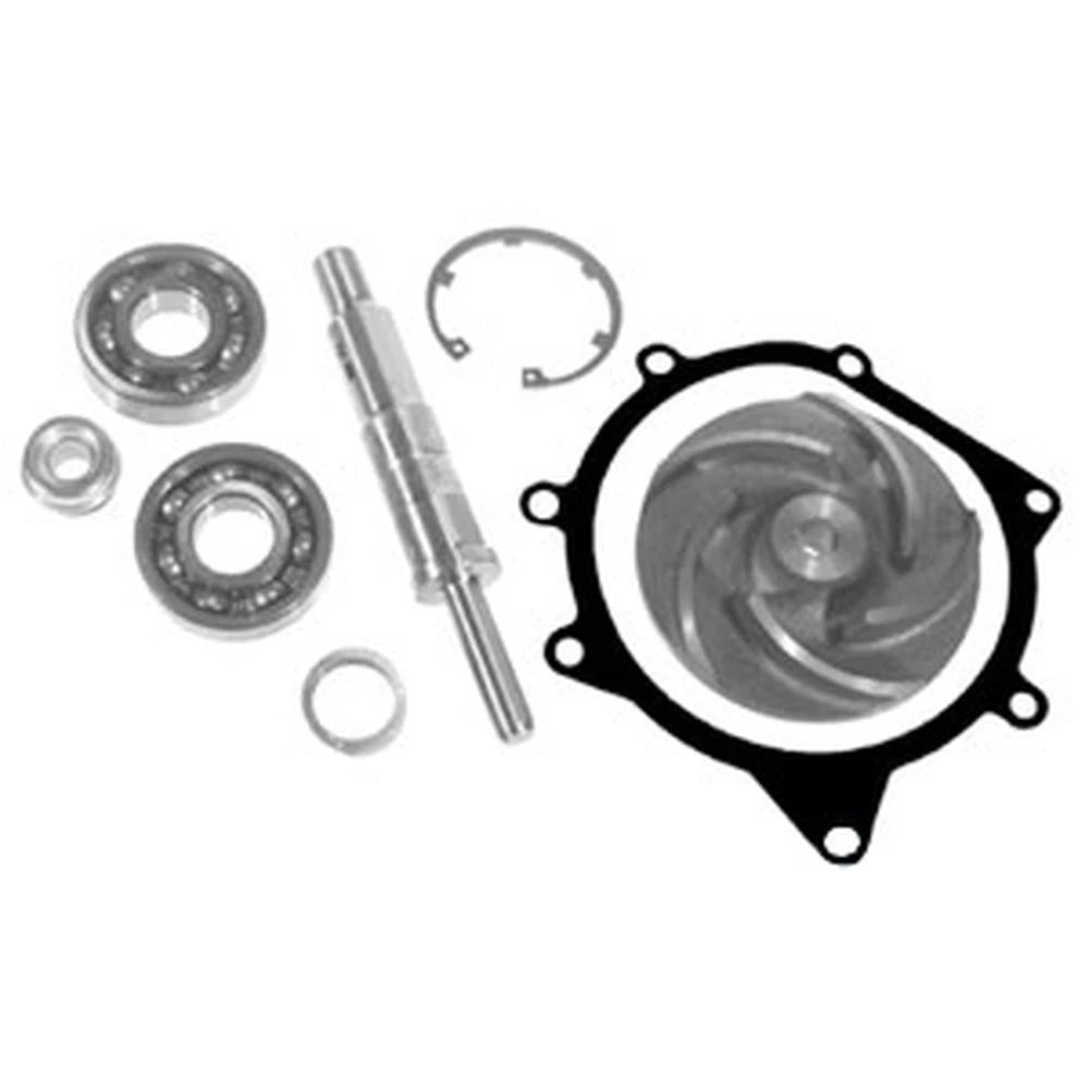 S.42442 Repair Kit, W/ Pump, U7lw0015 Fits Massey Ferguson