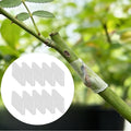Grafting Tube with High Elasticity Design