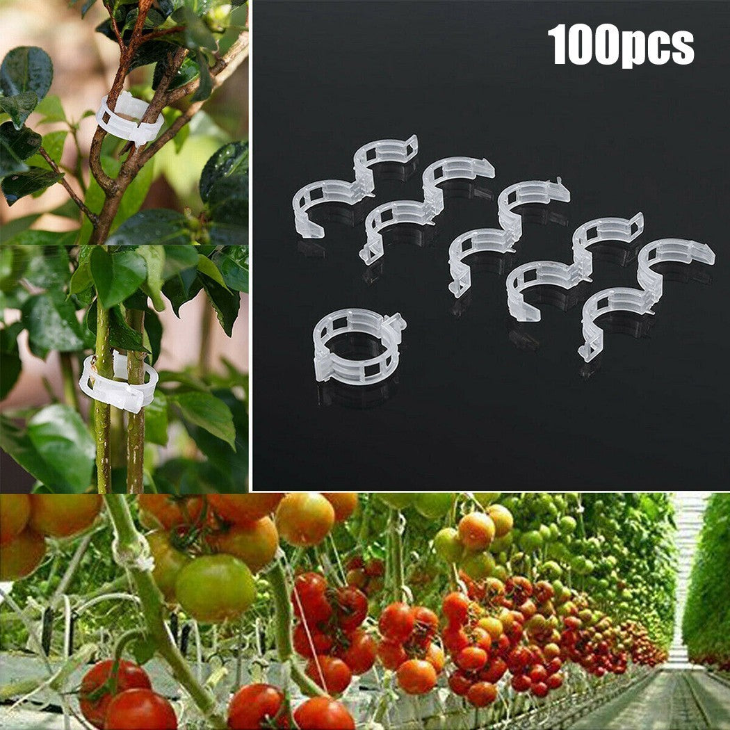 Vine Clips for Plant Grafting