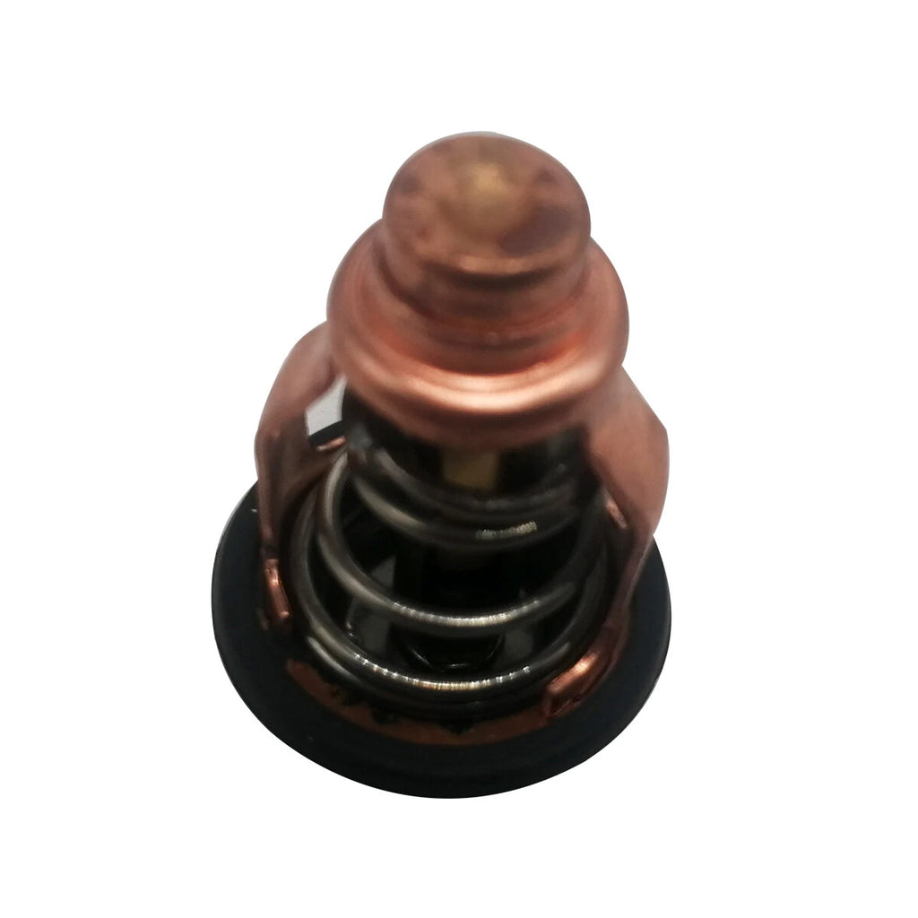 Thermostat – Yamaha F100D 100HP