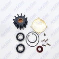 Fit Volvo Jabsco Sea Water Pump Repair Kit W/ Bearings 3860703 856513