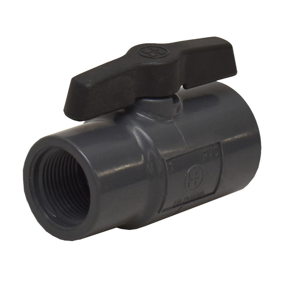 Ball Valve Hayward 1 Inch Gray PVC by Hayward