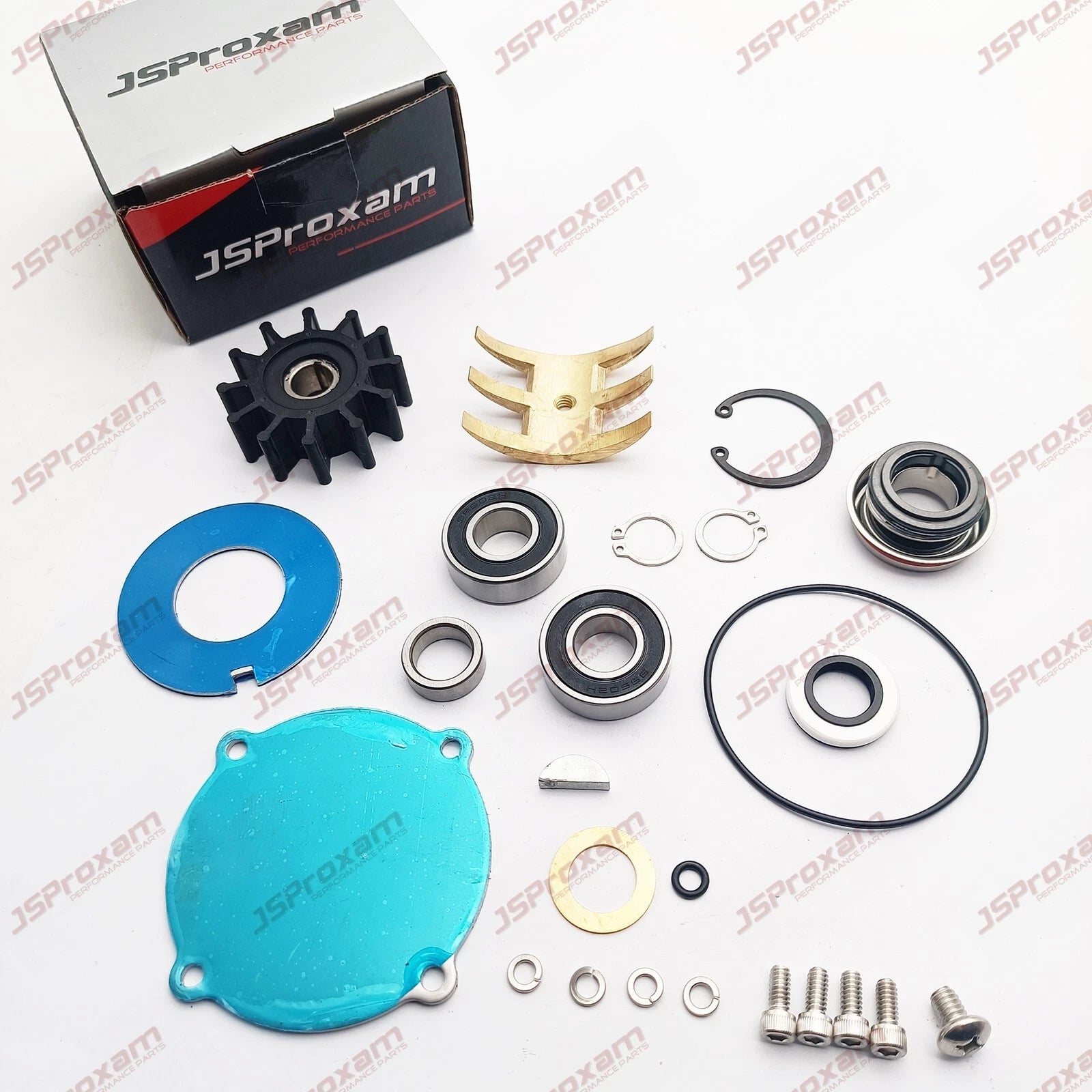Major Repair Kit Ra057031 Fit Sherwood Pump P1014 P1015 Pleasurecraft