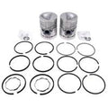 R1987 Rebore Kit .125 Fits John Deere