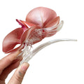 Portable Pearl Bow Hair Clip