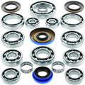 Quadboss 14-16 Polaris Ace 325 Transaxle Bearing Kit
