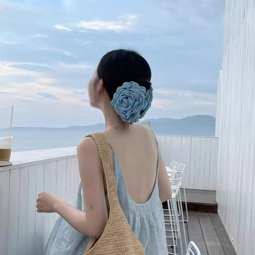 Hair Clutch Accessory Stylish Design