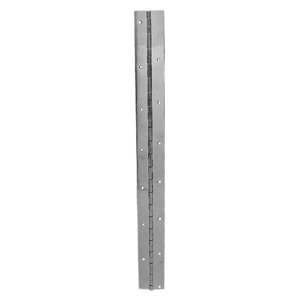 Piano Hinge Stainless Steel 21 1/2 x 2 Inch